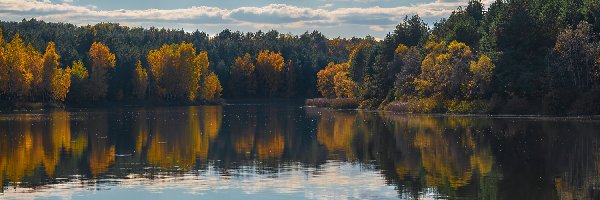 Jezioro, Las, Drzewa, Chmury, Jesień