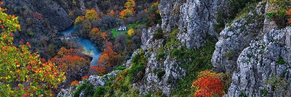 Drzewa, Kolorowe, Grecja, Vikos Gorge, Krzewy, Rzeka, Wąwóz, Skały