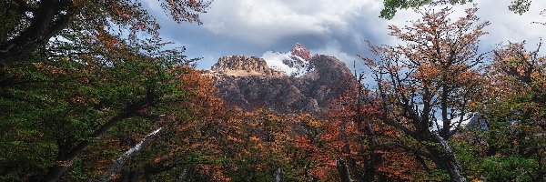 Chmury, Góra, Fitz Roy, Patagonia, Argentyna, Drzewa, Jesień