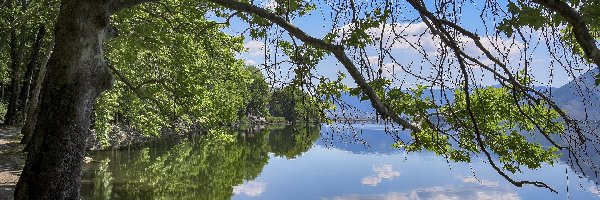 Drzewa, Chmury, Gałęzie, Jezioro