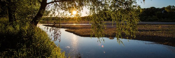 Wschód słońca, Drzewo, Rzeka, Trawa, Gałęzie