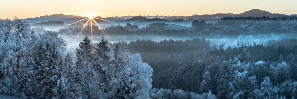 Mgła, Drzewa, Lasy, Wzgórza, Zima, Słońca, Promienie, Oszronione, Poranek