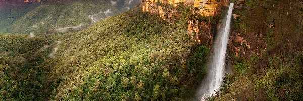 Drzewa, Góry Błękitne, Australia, Zachód słońca, Lasy, Wodospad, Govets Leap Falls, Skały