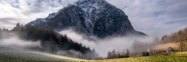 Domy, Niebo, Drzewa, Trawa, Mgła, Góra