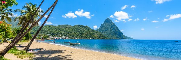 Karaiby, Morze Karaibskie, Góry, Palmy, Plaża, Saint Lucia, Wyspa