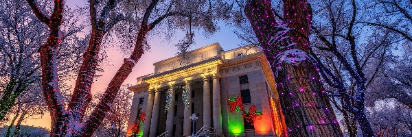 Zima, Prescott, Dom, Arizona, Stany Zjednoczone, Drzewa, Courthouse