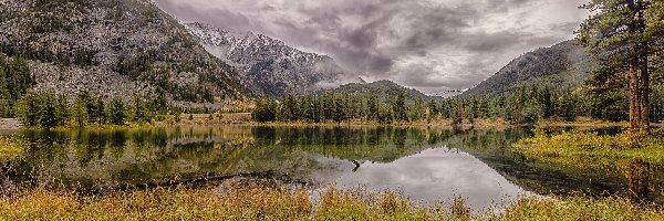 Kolorado, Officers Gulch Pond, Drzewa, Stany Zjednoczone, Jezioro, Góry Skaliste