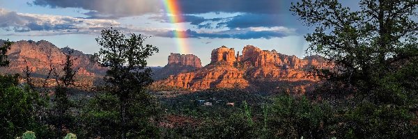 Sedona, Skały, Stany Zjednoczone, Kaktusy, Tęcza, Drzewa, Rośliny, Brązowe, Cathedral Rock, Arizona