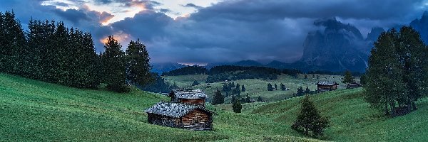 Drzewa, Dolomity, Drewniane, Sassolungo, Włochy, Płaskowyż Seiser Alm, Val Gardena, Chmury, Dolina, Góry, Domy