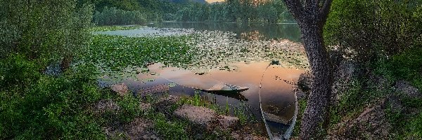 Łódki, Drzewa, Jezioro Szkoderskie, Czarnogóra, Las, Góry