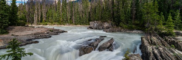 Rzeka, Drzewa, Las, Wodospad, Skały, Alberta, Góry, Sunwapta Falls, Kamienie, Kanada, Sunwapta River, Park Narodowy Jasper