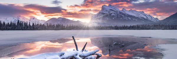 Park Narodowy Banff, Jezioro, Kanada, Drzewa, Śnieg, Góry, Las, Zima, Kłody, Alberta