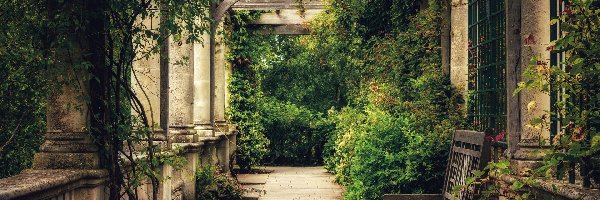 Patio, Ławka, Ogród, Roślinność, Pergola