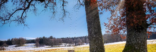 Jesień, Drzewa, Łąka, Huśtawka, Promienie słońca