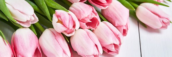 Kwiaty, Tulipany, Różowe, Deski, Liście