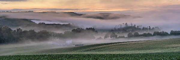 Wzgórza, Mgła, Domy, Pola, Poranek, Rośliny, Drzewa