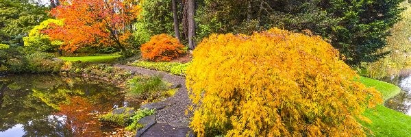 Bloedel Reserve Bainbridge, Waszyngton, Kładka, Staw, Ogród botaniczny, Jesień, Drzewa, Stany Zjednoczone