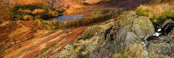 Skały, Drzewa, Jezioro, Dolina, Góry, Anglia, Park Narodowy Lake District, Blea Tarn, Chmury