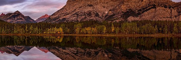 Drzewa, Jezioro, Kanada, Prowincja Alberta, Wedge Pond, Chmury, Odbicie, Góry Skaliste