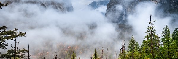 Drzewa, Kalifornia, Park Narodowy Yosemite, Mgła, Góry, Lasy, Jesień, Stany Zjednoczone