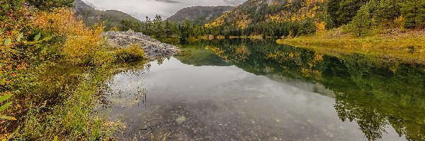 Stany Zjednoczone, Drzewa, Jezioro, Jesień, Góry Skaliste, Kolorado, Officers Gulch Pond