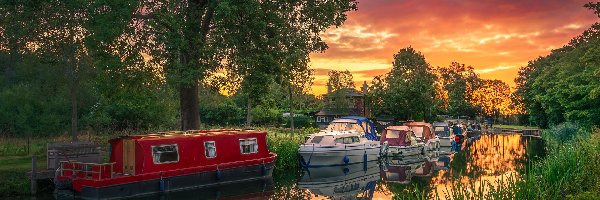 Drzewa, Motorówki, Chelmer River, Rzeka, Wschód słońca, Anglia, Maldon Essex, Śluza, Lato