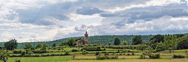 Prowansja, Kościół, Mane, Francja, Drzewa, Łąka