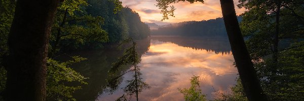 Las, Zachód słońca, Drzewa, Jezioro