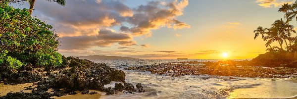 Plaża, Morze, Maui, Hawaje, Stany Zjednoczone, Skały, Zachód słońca, Lahaina, Palmy