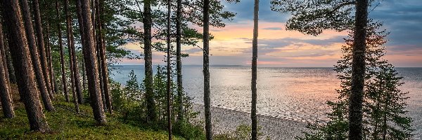 
Plaża, Lake Superior, Sosny, Drzewa, Wschód słońca, Stany Zjednoczone, Michigan, Jezioro, Miners Beach