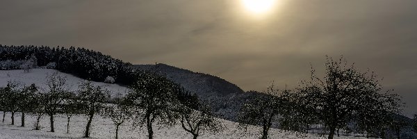 Mgła, Sad, Drzewa, Śnieg, Zima, Słońce, Góry