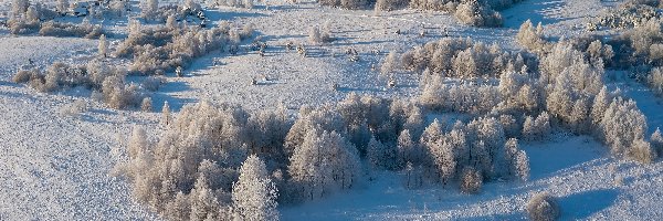 Drzewa, Wzgórze, Ośnieżone, Domy, Śnieg, Zima