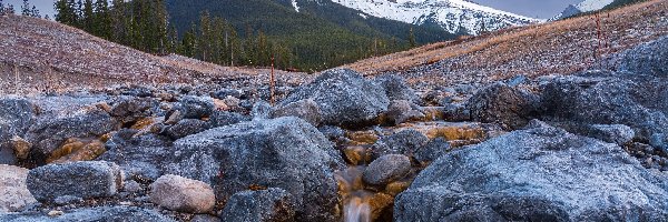 Three Sisters, Góra, Góry, Alberta, Kanada, Drzewa, Potok, Canadian Rockies, Kamienie