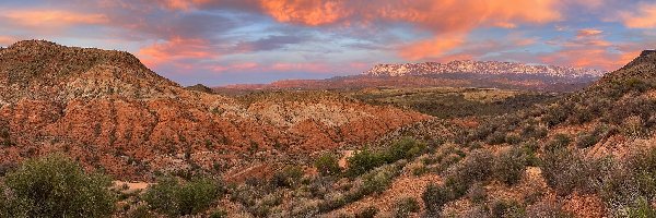 Stany Zjednoczone, Pine Valley Mountain, Kępki, Góry, Skały, Utah, Trawy