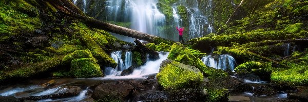 Proxy Falls, Stan Oregon, Człowiek, Konary, Wodospad, Omszałe, Kamienie, Stany Zjednoczone