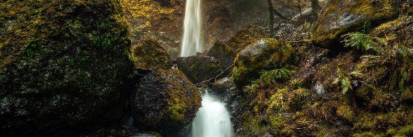 McCord Creek, Wodospad, Stany Zjednoczone, Rzeka, Omszona, Skała, Kamienie, Las, Elowah Falls, Oregon