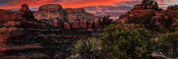 Drzewa, Maroon Peak, Góry, Skały, Stany Zjednoczone, Szczyt, Maroon Bells, Kolorowe, Skaliste, Rośliny, Niebo, Arizona, Sedona