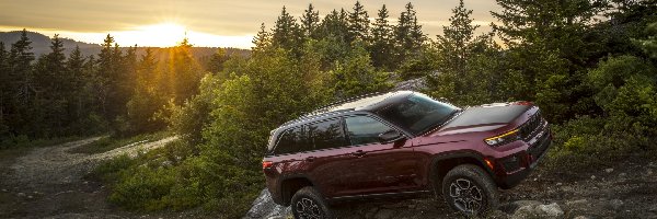 Drzewa, Jeep Grand Cherokee Trailhawk