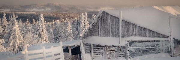 Płot, Szopa, Oszronione, Śnieg, Zima, Rosja, Kraj Permski, Drzewo, Biała Góra