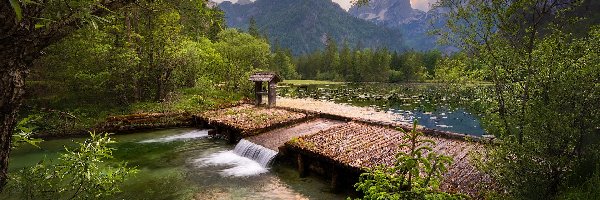 Drzewa, Jezioro, Schiederweiher, Zapora, Góry, Austria