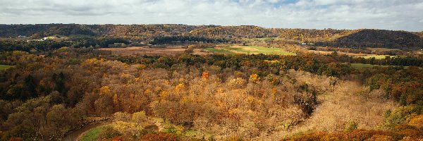 Drzewa, Wisconsin, Chmury, Pożółkłe, Jesień, Wzgórza, Las, Stany Zjednoczone, Wildcat Mountain State Park, Niebo