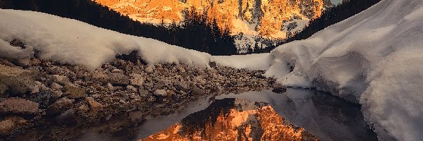 Drzewa, Pale di San Martino, Włochy, Odbicie, Val Venegia, Kamienie, Śnieg, Góry