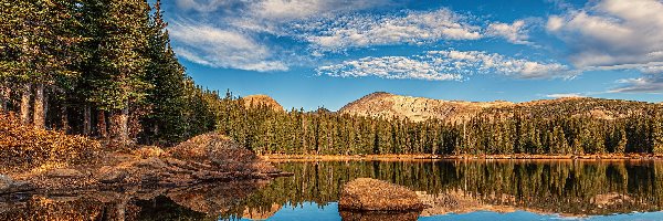 Stany Zjednoczone, Kamienie, Jezioro, Drzewa, Las, Kolorado, Brainard Lake