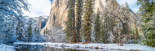 Góry, Kalifornia, Rzeka, Drzewa, Park Narodowy Yosemite, Skały, Zima, Stany Zjednoczone