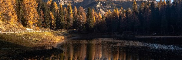 Antorno Lake, Góry, Włochy, Jezioro, Las, Pożółkłe, Drzewa, Jesień, Dolomity, Odbicie