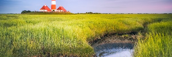 Niemcy, Trawa, Chmury, Łąka, Latarnia morska Westerheversand, Gmina Westerhever, Kałuża