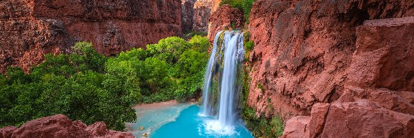 Stany Zjednoczone, Skały, Drzewa, Havasu Falls, Wodospad, Arizona, Park Narodowy Wielkiego Kanionu