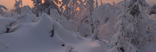 Śnieg, Las, Zaspy, Gałęzie, Chmury, Drzewa, Zachód słońca, Zima