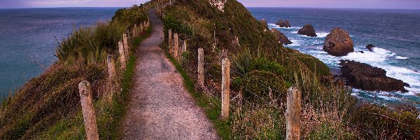 Nowa Zelandia, Latarnia morska, Nugget Point Lighthouse, Skały, Morze, Otago, Ścieżka