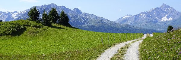 Góry, Droga, Łąka